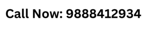 call now button call now button
